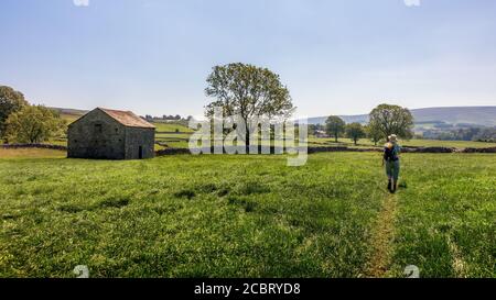 Paesaggio del Regno Unito: Camminatore femminile che cammina attraverso un campo verde di erba passato un vecchio fienile di pietra sulla passeggiata di Grassington Woods in un caldo giorno d'estate, Yorkshi Foto Stock