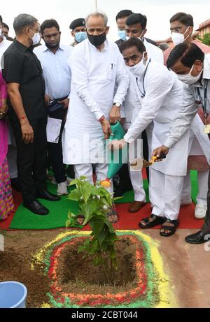 Jaipur, India, 15 agosto 2020: Il ministro principale del Rajasthan Ashok Gehlot pianta un albero in occasione del 74a giorno di indipendenza, alla Segreteria a Jaipur. Credit: Sumit Saraswat/Alamy Live News Foto Stock