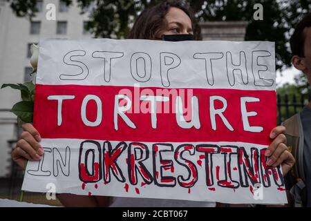 Bielorussia solidarietà Picket. I britannici-bielorussi si si riuniscono di fronte a Downing Street chiedendo un’azione di sostegno da parte del governo britannico. Londra, Regno Unito. Foto Stock