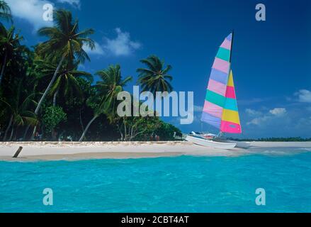 Catamarano parcheggiato sulla spiaggia di sabbia sulla spiaggia tropicale di Maldive Isole Foto Stock