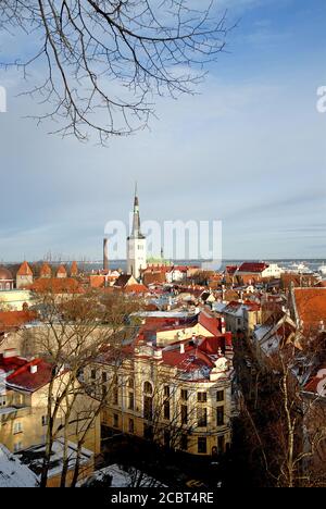 Vista sulla città vecchia di Tallinn, Estonia, con i vecchi edifici. L'alta guglia è la Chiesa di Sant'OLAF. Foto Stock