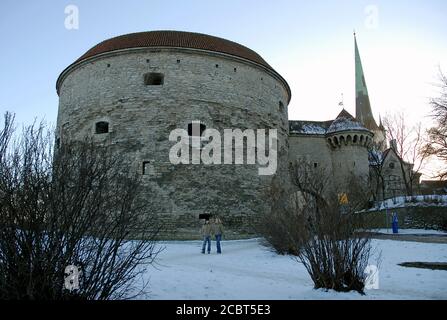 La Fat Margaret Tower o Paks Margareta a Tallinn, Estonia. La Torre Margaret Fat ospita il Museo Marittimo Estone. Foto Stock