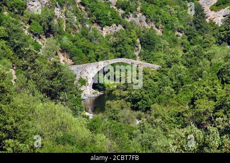 Ponte genovese Gorges Pianella de la Spelunca nel sud della Corsica Foto Stock