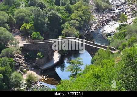 Ponte genovese Gorges Pianella de la Spelunca nel sud della Corsica Foto Stock