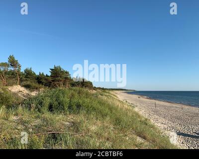 Paesaggio di foresta, dune di sabbia e spiaggia vuota. Spiaggia di Nemirseta (Nemirsetos papludimys), Lituania. Foto Stock