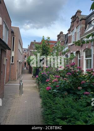 Stretta strada pedonale con piccolo giardino nella città di Tilburg, Paesi Bassi. Foto Stock