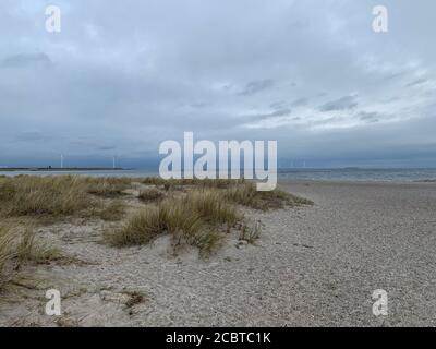 Amager Strandpark dune di sabbia e mulini a vento sullo sfondo, Copenaghen. Foto Stock