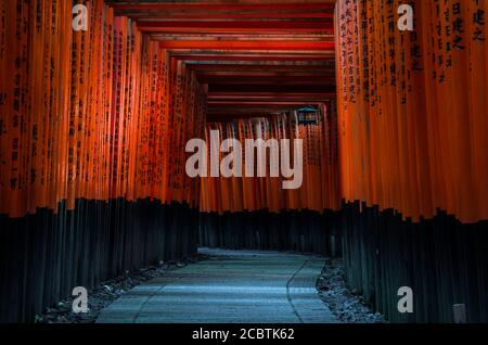 Torii porta nel Santuario di Fushimi Inari a Kyoto, Giappone. Il punto culminante del santuario sono le file delle porte torii, note come Sennon Torii. . Foto Stock