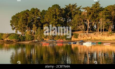 Isola di Arz nel golfo di Morbihan, panorama all'alba, con barche nella baia Foto Stock