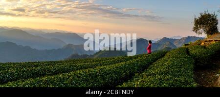 Donna in cima rossa godendo la vista mattutina della piantagione di tè e delle montagne sullo sfondo ad Alishan, Taiwan Foto Stock