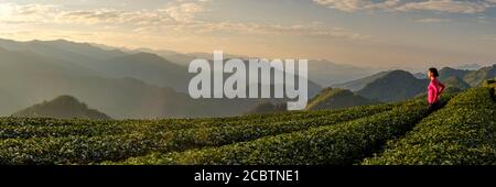 Donna in cima rossa godendo la vista mattutina della piantagione di tè e delle montagne sullo sfondo ad Alishan, Taiwan Foto Stock