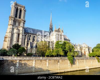 La cattedrale di Notre-Dame - Parigi, Francia Foto Stock