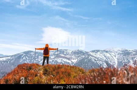 Vestito zaino in spalla giacca arancione brillante camminando per il percorso turistico utilizzando pali trekking nella catena montuosa Mala Fatra, Slovacchia. Mirtilli rossi fiel Foto Stock