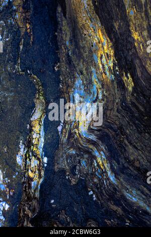 Un astratto, basato su modelli di corteccia di albero Foto Stock