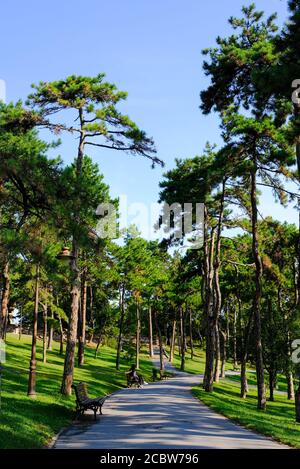 Parco Kalemegdan nella Fortezza di Belgrado, capitale della Serbia Foto Stock