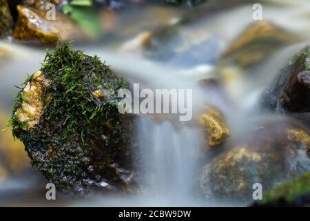 Torrente di montagna con acqua che scorre (lunga esposizione) e pietra coperta di muschio Foto Stock