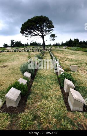 Lapidi dei soldati caduti della guerra mondiale australiana e neozelandese al cimitero di Lone Pine sulla penisola di Gallipoli in Turchia. Foto Stock