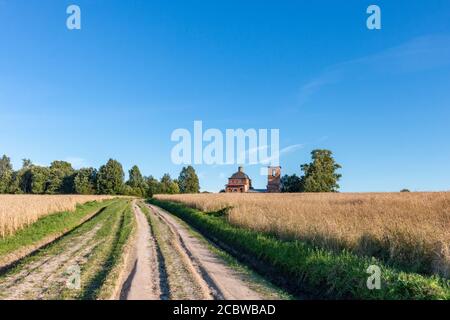 Country road through wheat fields Foto Stock