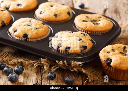 Solo dal forno muffin con mirtilli primo piano in una teglia sul tavolo. Orizzontale Foto Stock