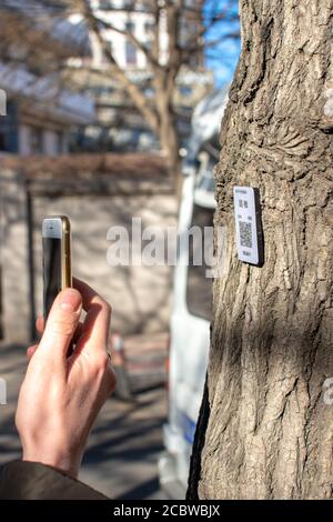 Tianjin / Cina - 14 febbraio 2016: Smartphone scansione del codice QR su un albero per saperne di più sulla specie di albero Foto Stock