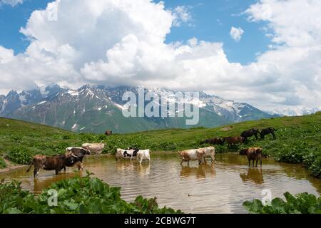 Mestia, Georgia - Sentiero escursionistico che da Mestia conduce ai laghi di Koruldi. Un paesaggio famoso in Mestia, Samegrelo-Zemo Svaneti, Georgia. Foto Stock