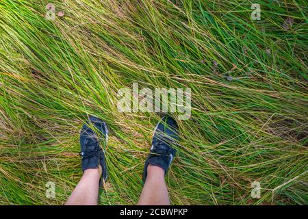 Piedi che indossano sneakers sull'erba. Foto Stock