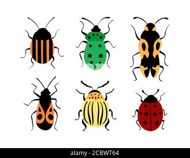 Collezione Beetles disegnata a mano. Carino bug decorativi isolati su sfondo bianco. Illustrazione vettoriale. Illustrazione Vettoriale