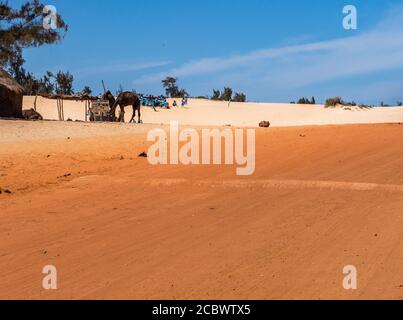 Senegal, Africa - Feb 02, 2019: Strada con sabbia rossa e bianca alla fine del passato percorso Parigi-Dakar e scuola chidren giocare sulla duna. Foto Stock