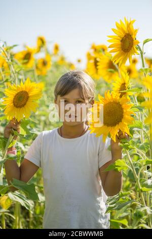 Una giovane ragazza adolescente si trova in un campo circondato da girasoli Foto Stock