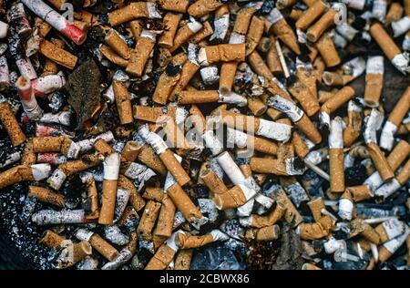 Posacenere grande piena di tanti mozziconi di sigaretta Foto Stock