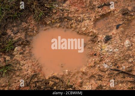 Fango texture o bagnato marrone suolo come naturale argilla organica e miscela di sedimenti geologici come in sgrossatura esso in un sporco fangoso paese strada bog dopo il Foto Stock