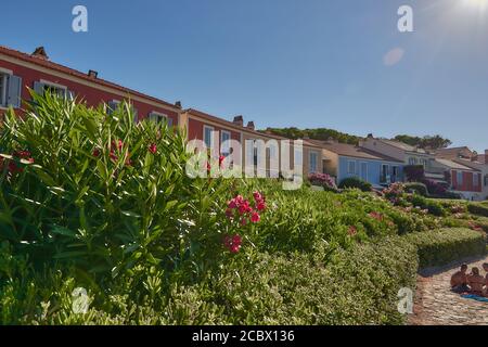 Case colorate circondate da fiori di oleandro sull'isola di Sardegna Foto Stock