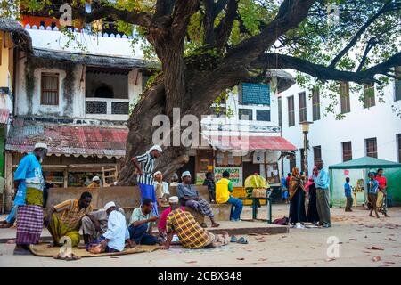 Kenya, Isola di Lamu. La piazza aperta e ombreggiata fuori da Lamu Fort Plaza Square vicino agli uffici amministrativi dell'isola è utilizzata come punto d'incontro durante il tempo di Foto Stock