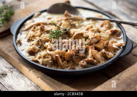 Funghi chanterelle fritti con cipolle o stufato su sfondo di legno. Messa a fuoco selettiva. Foto Stock