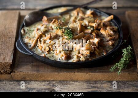 Funghi chanterelle fritti con cipolle o stufato su sfondo di legno. Messa a fuoco selettiva. Foto Stock