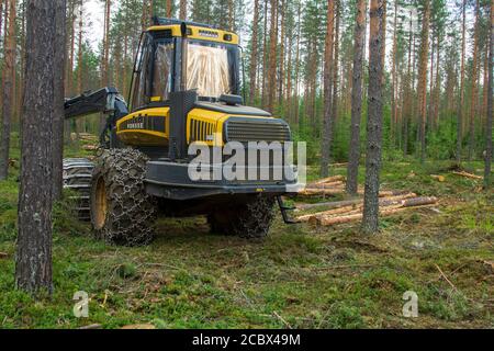 Arrestò la forestiera Ponsse Ergo nel mezzo della foresta di pini europei assottigliati ( pinus sylvestris ) a Estate , Finlandia Foto Stock