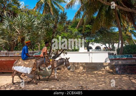 Uomo a cavallo di un asino sulla spiaggia di Shela nel sud Dell'arcipelago dell'isola di Lamu in Kenya Foto Stock