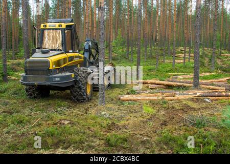 Arrestò la forestiera Ponsse Ergo nel mezzo della foresta di pini europei assottigliati ( pinus sylvestris ) a Estate , Finlandia Foto Stock