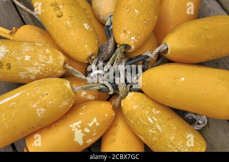 Closeup di boe di aragoste gialle intemperie ruggito insieme e artfully disposto in un cerchio sul molo nel porto di Port Clyde, Maine. Foto Stock