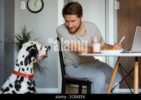 bearded caucasico maschio sedersi lavorando su computer portatile a casa, mentre il suo cane dalmata sempre accanto a lui, sostegno, amicizia tra persone e animali Foto Stock