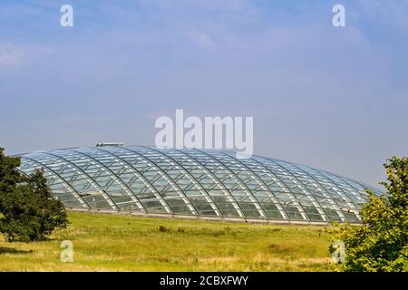 Carmarthen, Galles - Agosto 2020: La grande cupola curva della casa di vetro al Giardino Botanico Nazionale del Galles Foto Stock