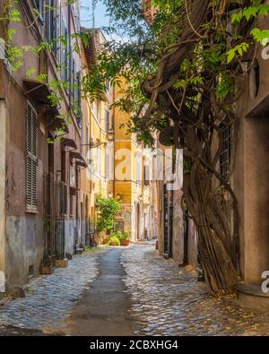 Il pittoresco rione Trastevere in una mattinata estiva a Roma, in Italia. Foto Stock