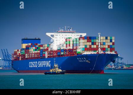 Cosco Shipping Star Container Ship entra nel porto di Felixstowe - il Cosco Shipping Ship CSCL Star si avvicina ai moli del porto di Felixstowe, nel Regno Unito Foto Stock