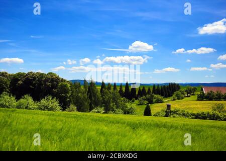 Paesaggio nell'ambiente di Sulz am Neckar Foto Stock