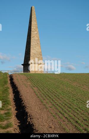 Obelisco memoriale a Ednam, Kelso, frontiere scozzesi in memoria di James Thompson che scrisse le parole a 'Rule Britannia' Foto Stock