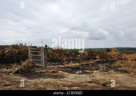 Un cancello e un gatepost in piedi abbandonati su brughiere bruciate; la recinzione distrutta e solo i resti di cespugli di gola rimasti (Chobham Common, Surrey, Foto Stock