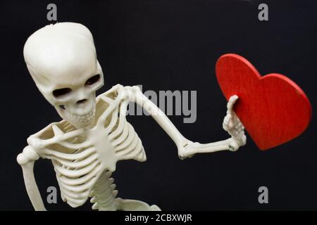 scheletro artificiale del corpo con cuore per il concetto di amore Foto Stock