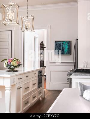 Pink and White Kitchen and Bar and Den Foto Stock