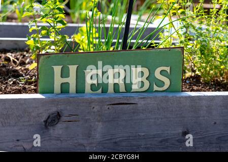 Un giardino di erbe fatto di scatole di legno o letti rialzati. C'è un piccolo segno con uno sfondo verde e lettere crema che ortografia erbe. T Foto Stock