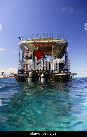 Il team scientifico di immersione ottenere in acqua presso il luogo di studio, Moore Reef, Grande barriera Corallina, Queensland, Australia. No MR o PR Foto Stock